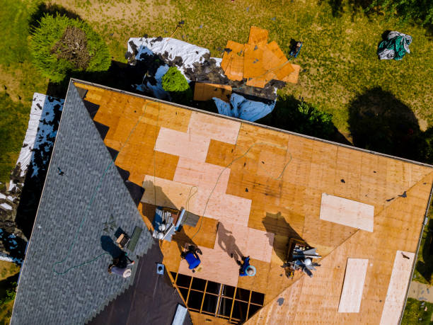 Best Flat Roof Repair Services  in Buchanan, MI