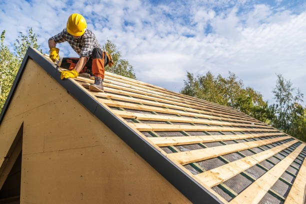 Roof Gutter Cleaning in Buchanan, MI