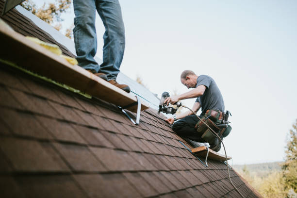 Best Roof Leak Repair  in Buchanan, MI