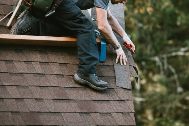 Best Metal Roofing Contractor  in Buchanan, MI